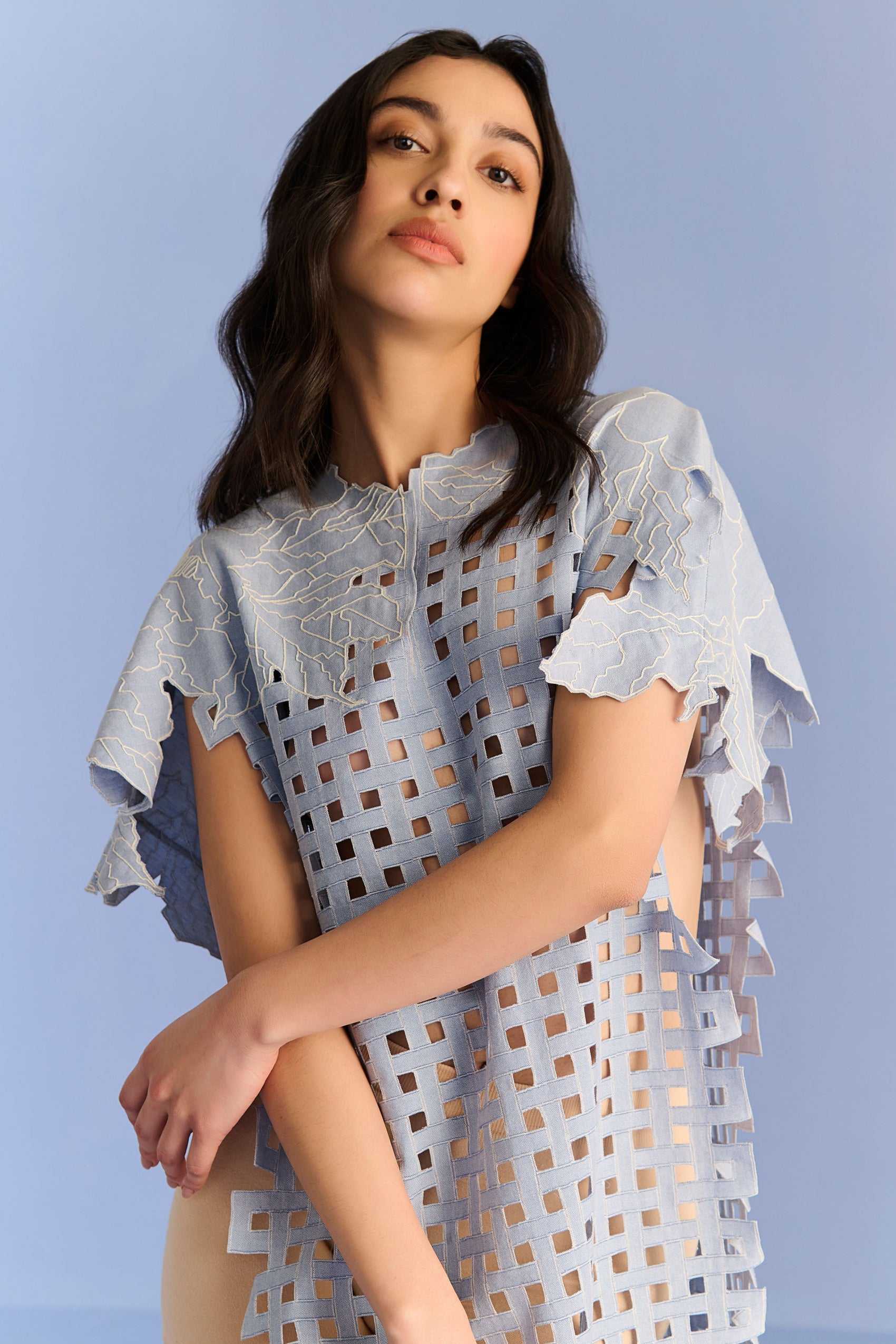 3D CUTWORK PANEL DRESS