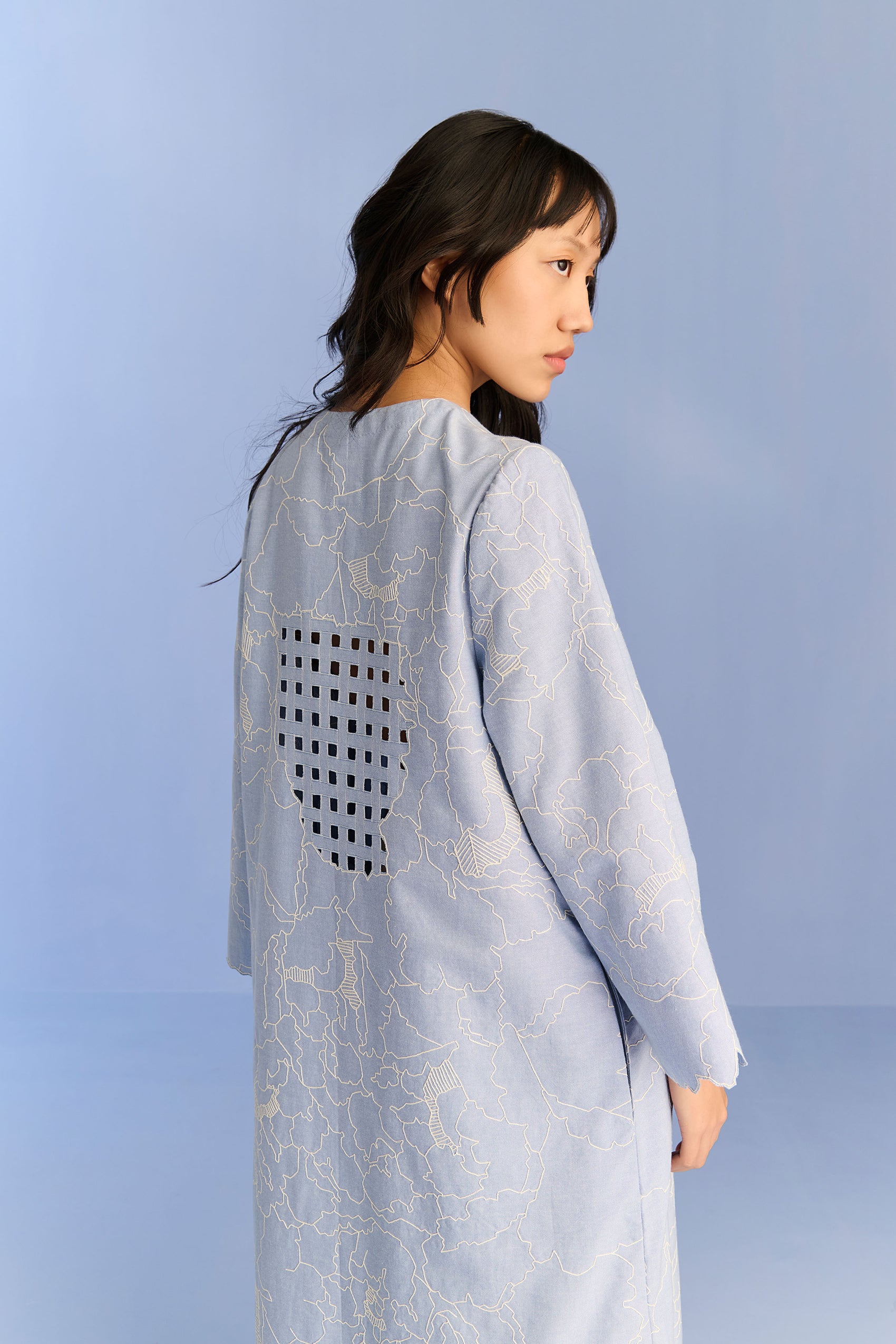 APPLIQUE' AND CUTWORK DRESS