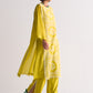PANELLED APPLIQUE' AND CUTWORK KAMEEZ